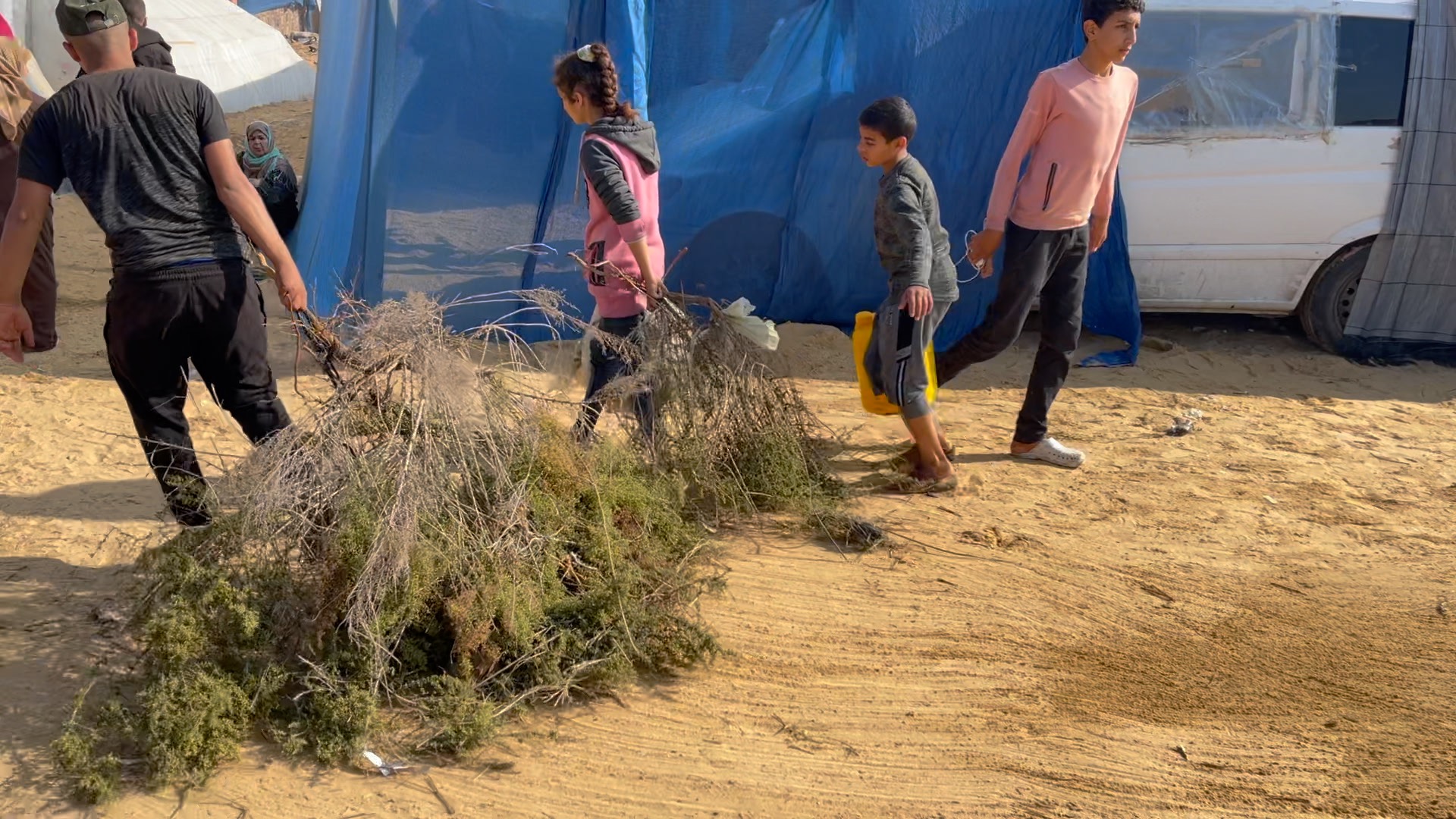 IDPs Rafah-19.12.23-branches.jpg